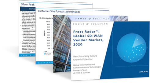 Frost & Sullivan Global SD-WAN Vendor Market 2020 Report